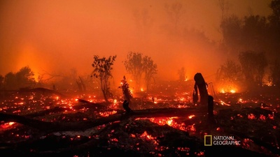 洪水泛滥之前剧照的剧照