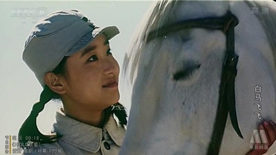 白马飞飞剧照的剧照