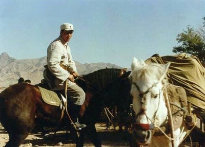 白马飞飞剧照的剧照