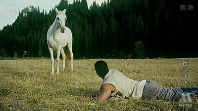 白马飞飞剧照的剧照