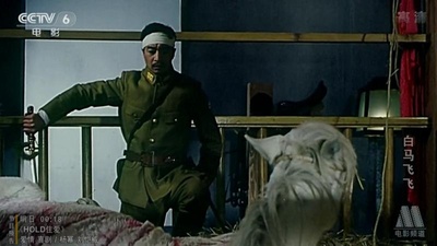 白马飞飞剧照的剧照