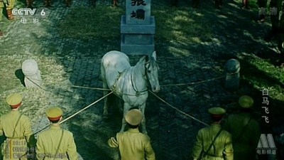 白马飞飞剧照的剧照