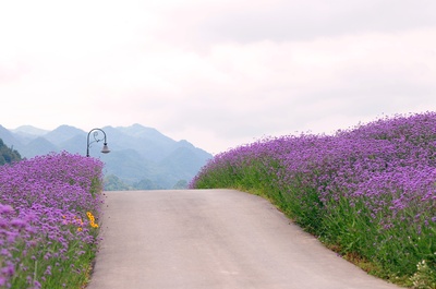 幸福梦想剧照的剧照