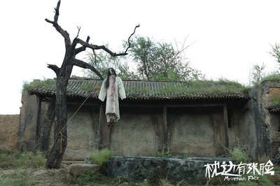 枕边有张脸剧照的剧照