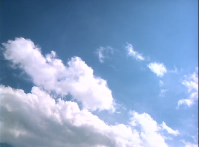 青涩禁果剧照的剧照