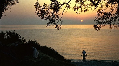 玻璃玫瑰剧照的剧照