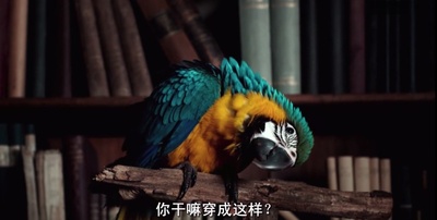 测量世界剧照的剧照