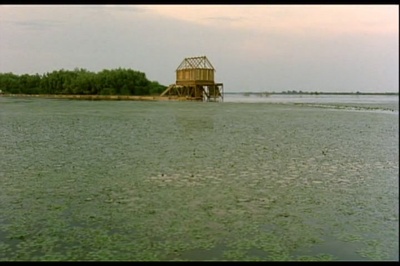 三角洲剧照的剧照