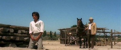 同伴剧照的剧照