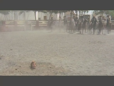 同伴剧照的剧照