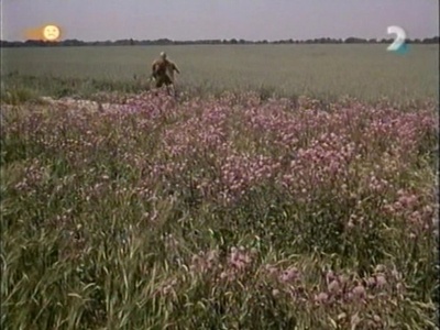 背信者与流浪汉剧照的剧照