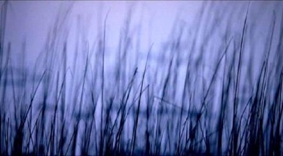 忽然之间剧照的剧照