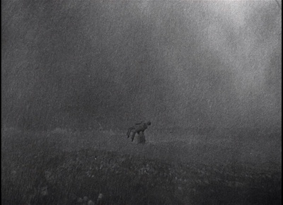 金刚之子剧照的剧照