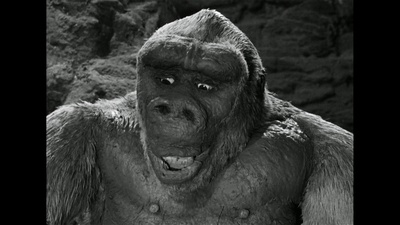 金刚之子剧照的剧照