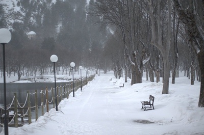 伊娃剧照的剧照