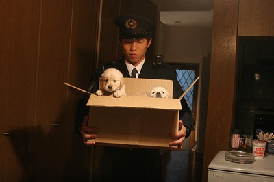 小狗的巡警先生剧照的剧照