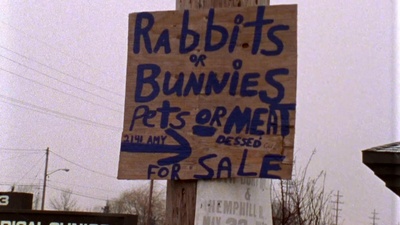 罗杰和我剧照的剧照