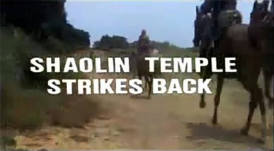 河南嵩山少林寺剧照的剧照