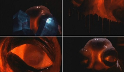 星云结晶剧照的剧照