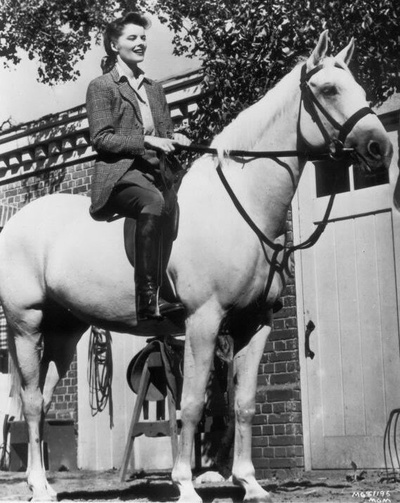 费城故事剧照的剧照