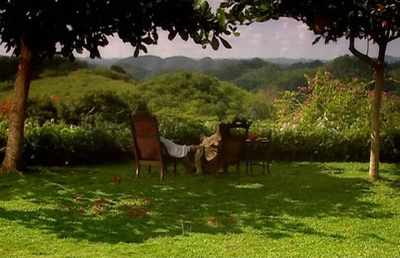 茫茫藻海剧照的剧照