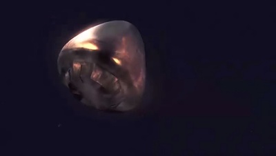 地缚剧照的剧照