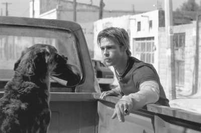 墨西哥人剧照的剧照