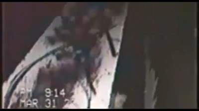 偏执狂磁带7：毡场剧照的剧照