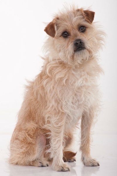 末日情缘剧照的剧照