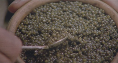 上帝深爱鱼子酱剧照的剧照