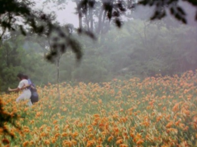 阿瑞拉剧照的剧照