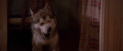 捉鬼小灵精剧照的剧照