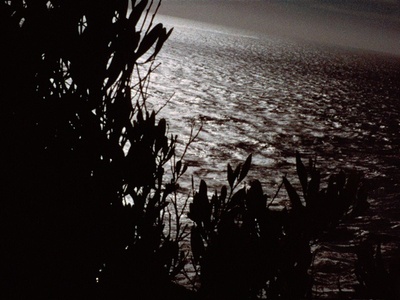 悲歌剧照的剧照