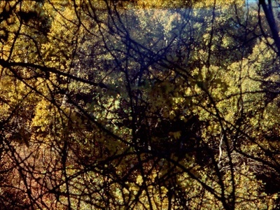 悲歌剧照的剧照