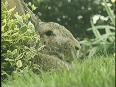 美利坚合众国剧照的剧照