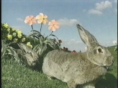 美利坚合众国剧照的剧照