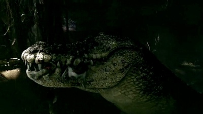 逃亡鳄鱼岛剧照的剧照
