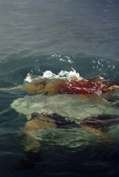 逃亡鳄鱼岛剧照的剧照