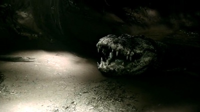 逃亡鳄鱼岛剧照的剧照