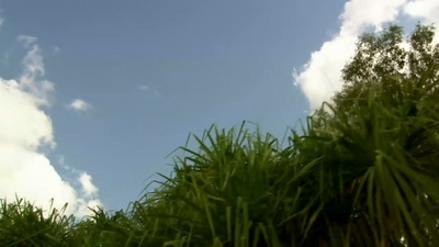 逃亡鳄鱼岛剧照的剧照