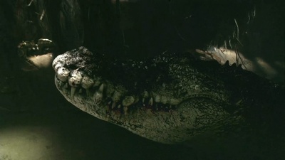 逃亡鳄鱼岛剧照的剧照
