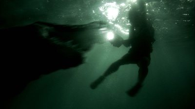 逃亡鳄鱼岛剧照的剧照