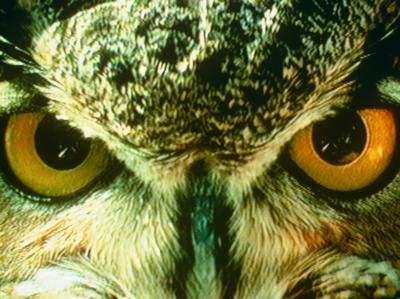 我不知道自己是什么样子剧照的剧照