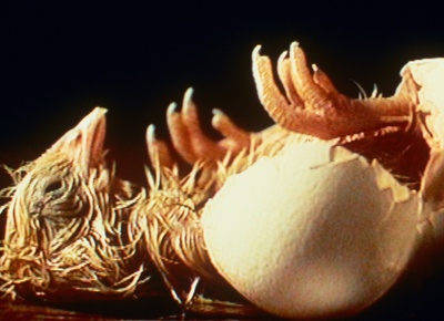 我不知道自己是什么样子剧照的剧照