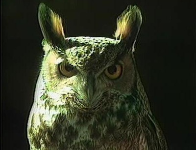 我不知道自己是什么样子剧照的剧照