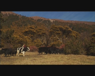 一件小棉袄剧照的剧照