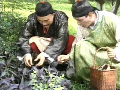 皇帝也风流剧照的剧照