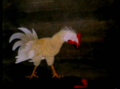 斗鸡剧照的剧照