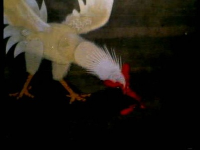 斗鸡剧照的剧照