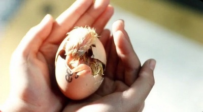 阳光天井剧照的剧照